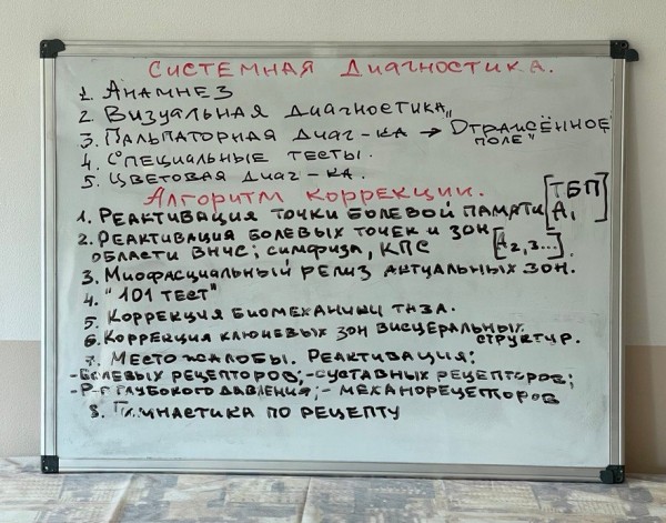 Предмет ЦЕФУНГИ