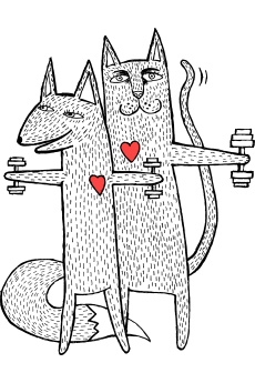 Гимнастика